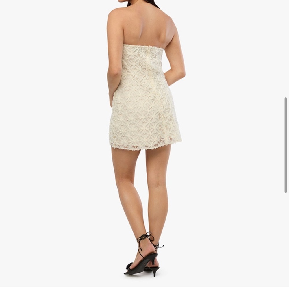 NWT WeWoreWhat A-Line Lace Mini Dress size US6 - Picture 6 of 15